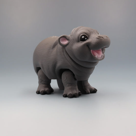 Hippopotamus
