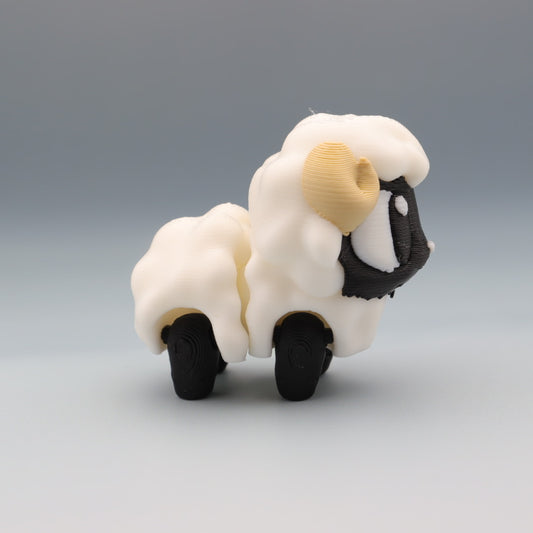 Sheep
