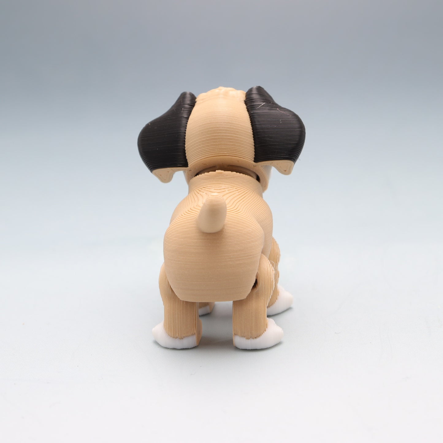 Boxer