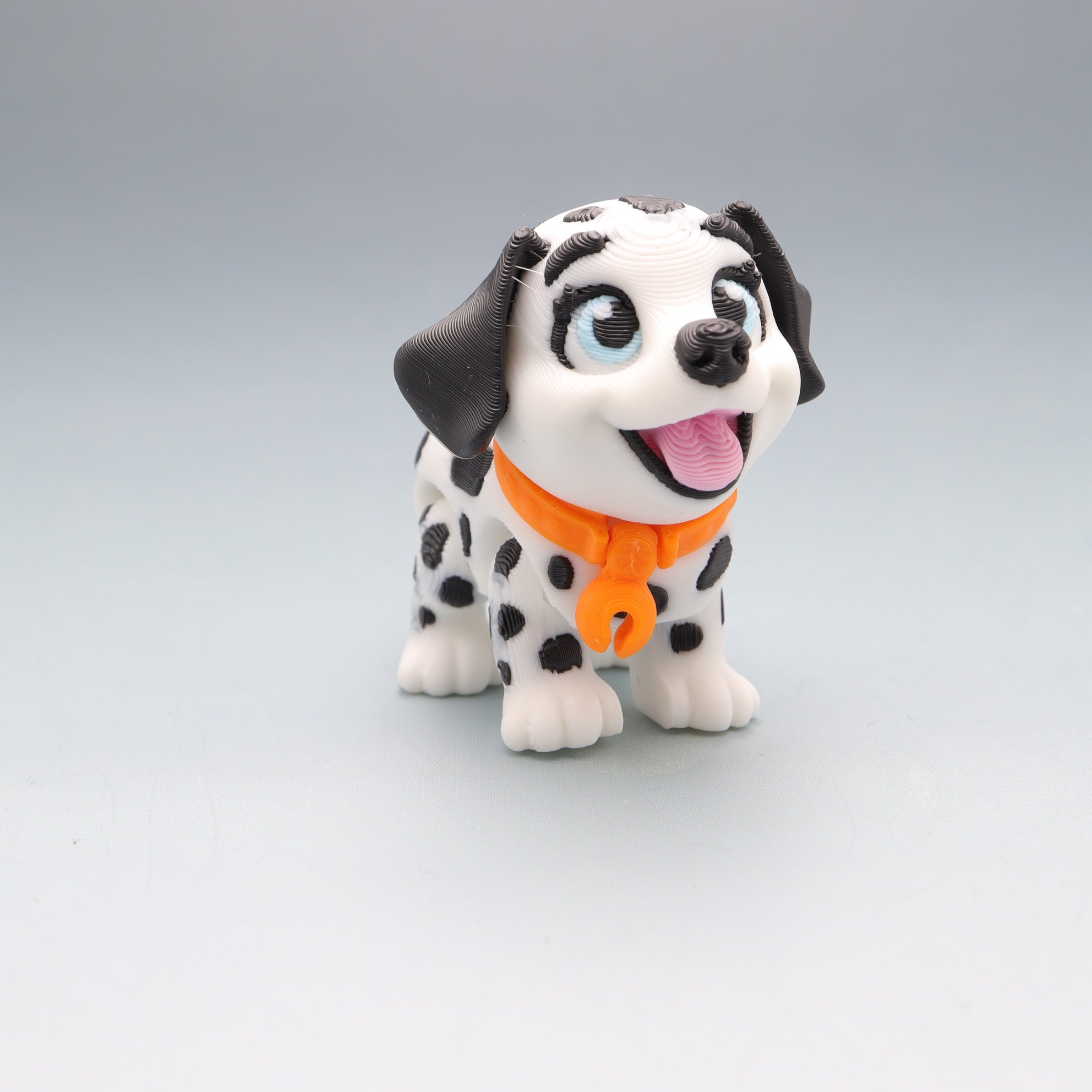 Dalmation