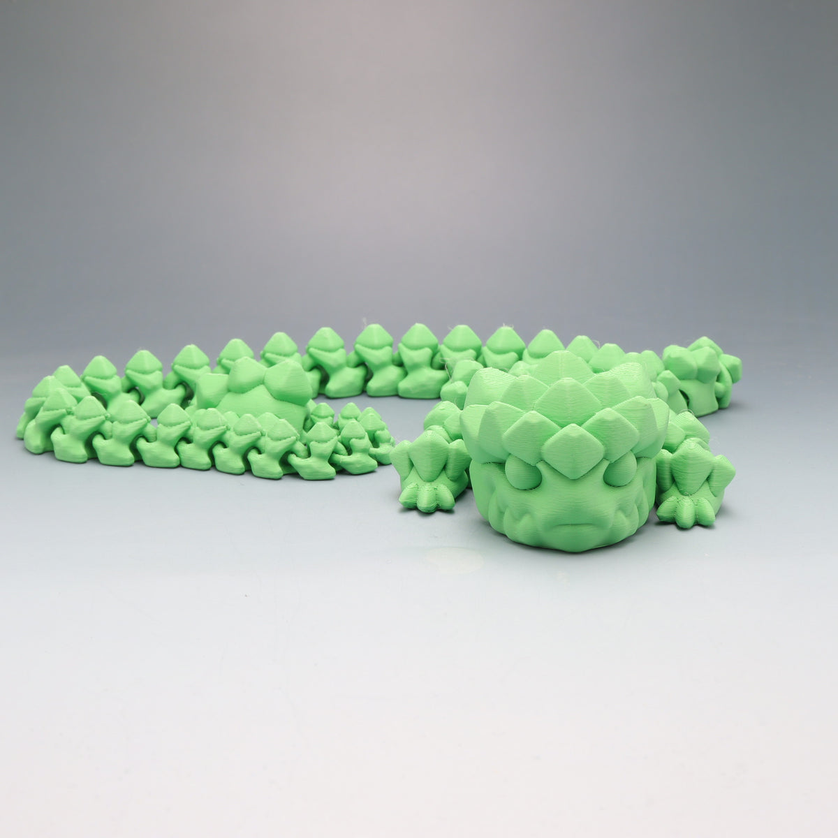 Medium Articulated Dragons