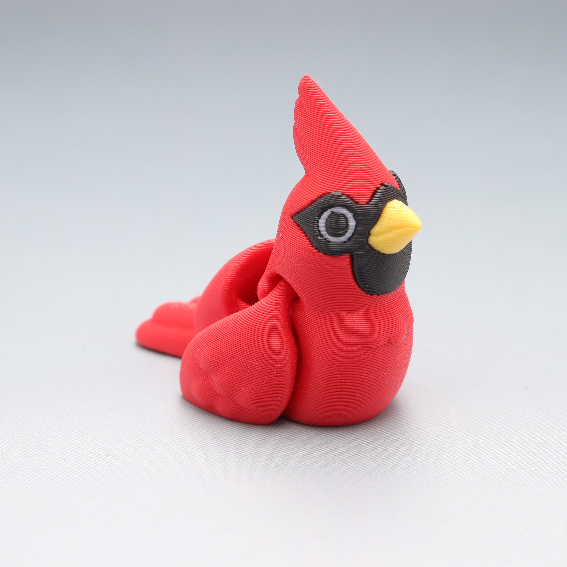 Cardinal Bird