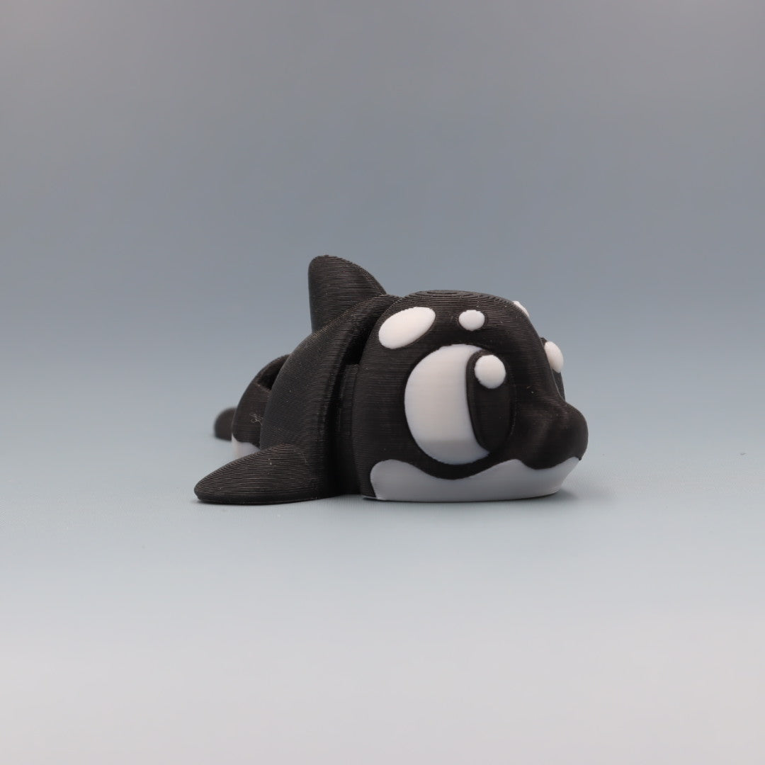 Orca