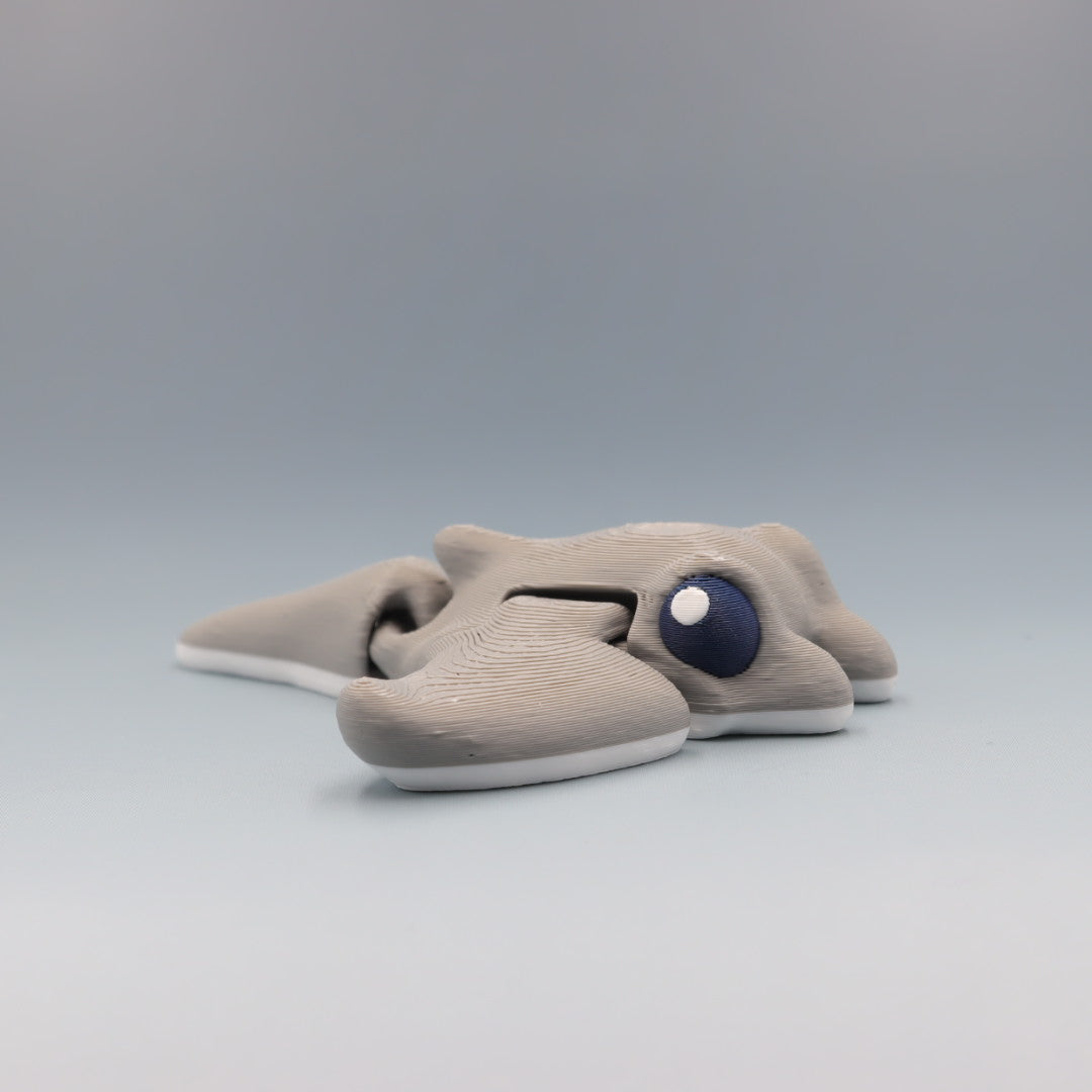 Manta Ray