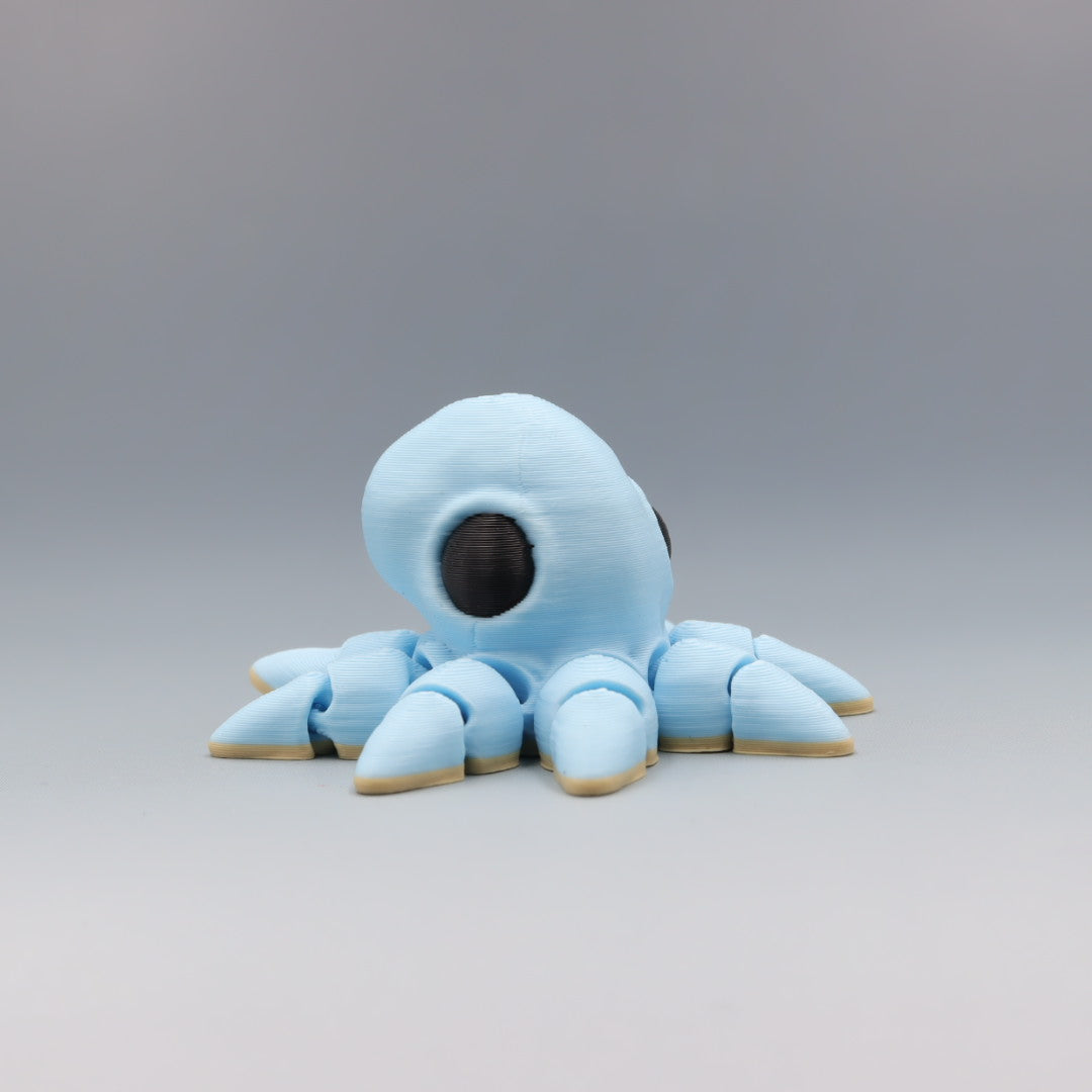 Octopus