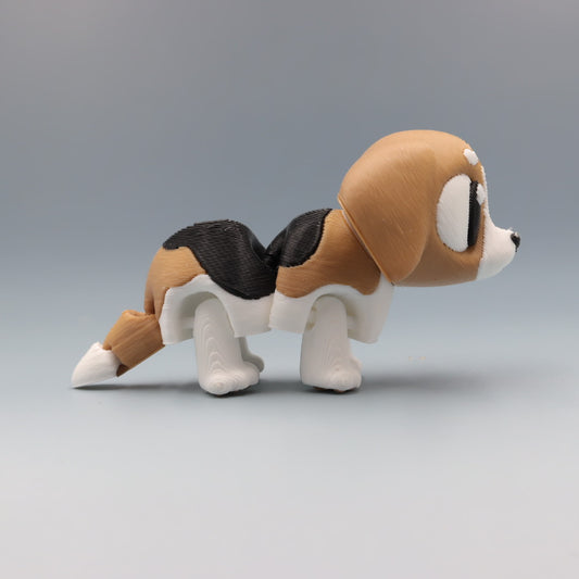 Beagle