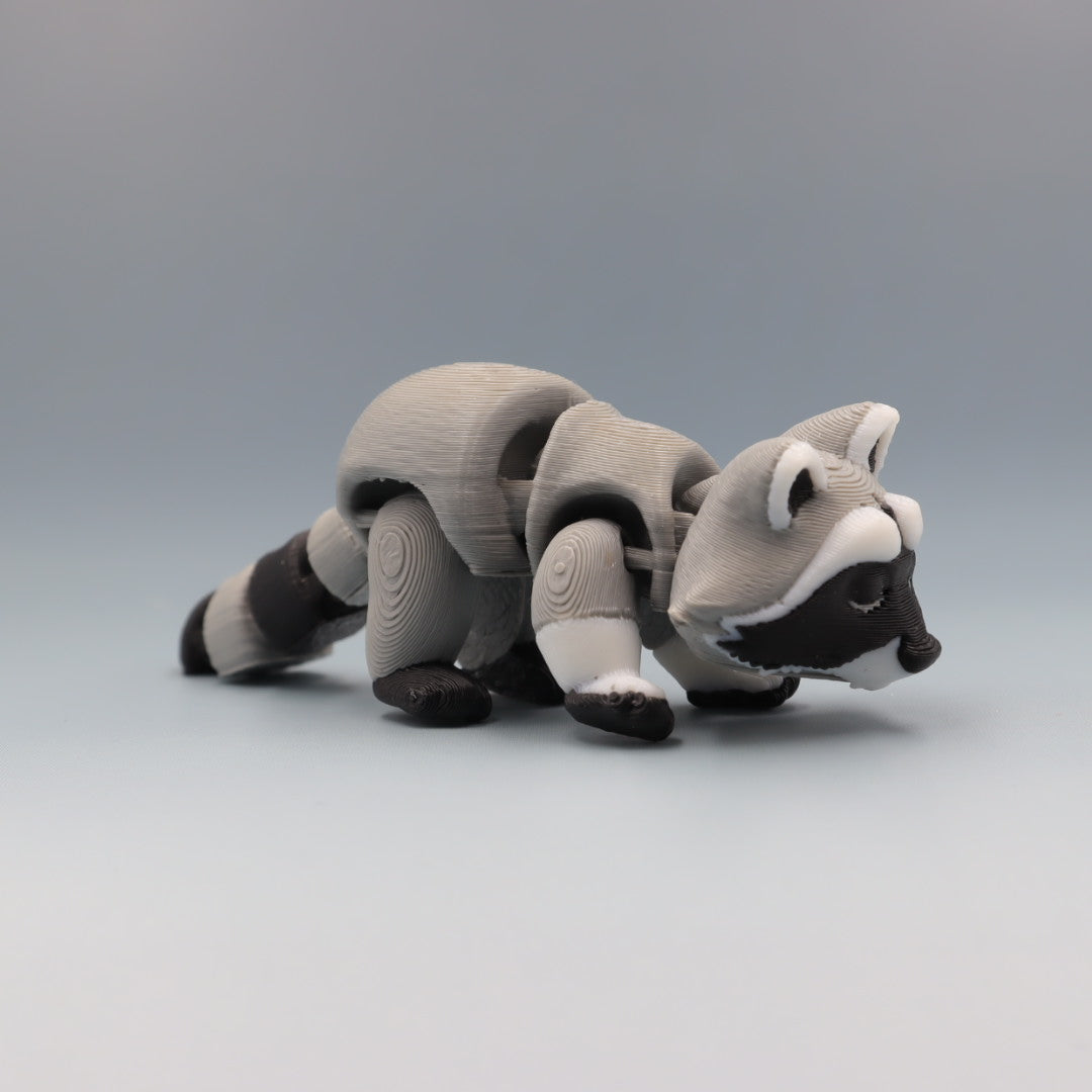 Raccoon