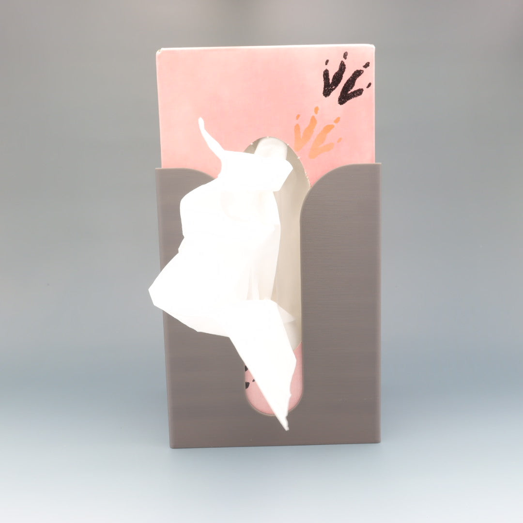 Wall Mounted Tissue Box Holder