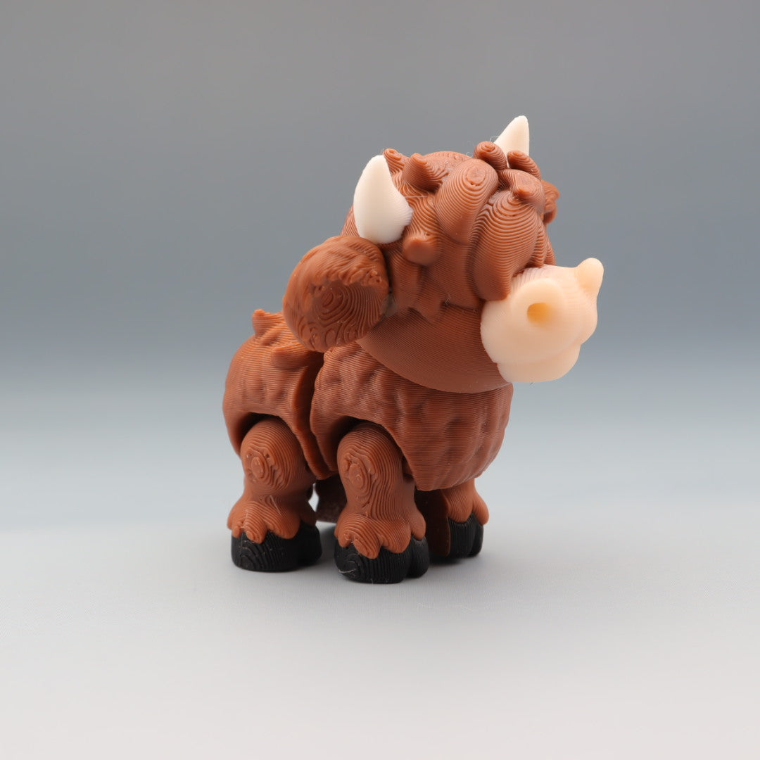 Highland Cow