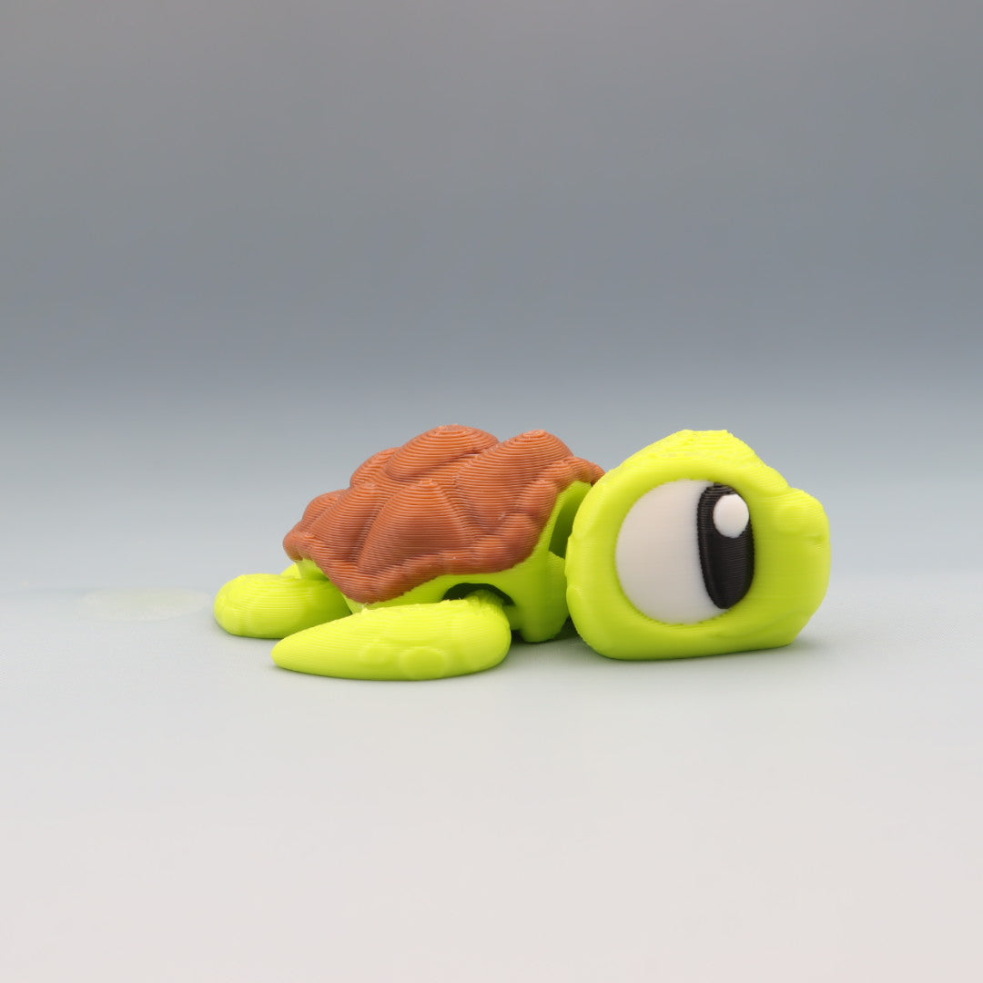 Sea Turtle