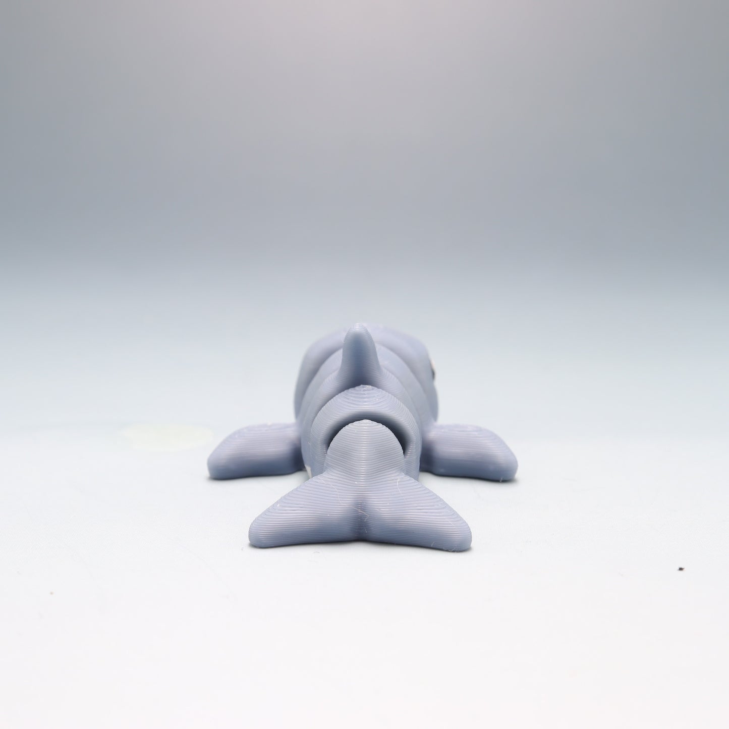 Dolphin Flexi Wobaloo — 3D Printed Articulated Fidget Toy | Aussie Fusion