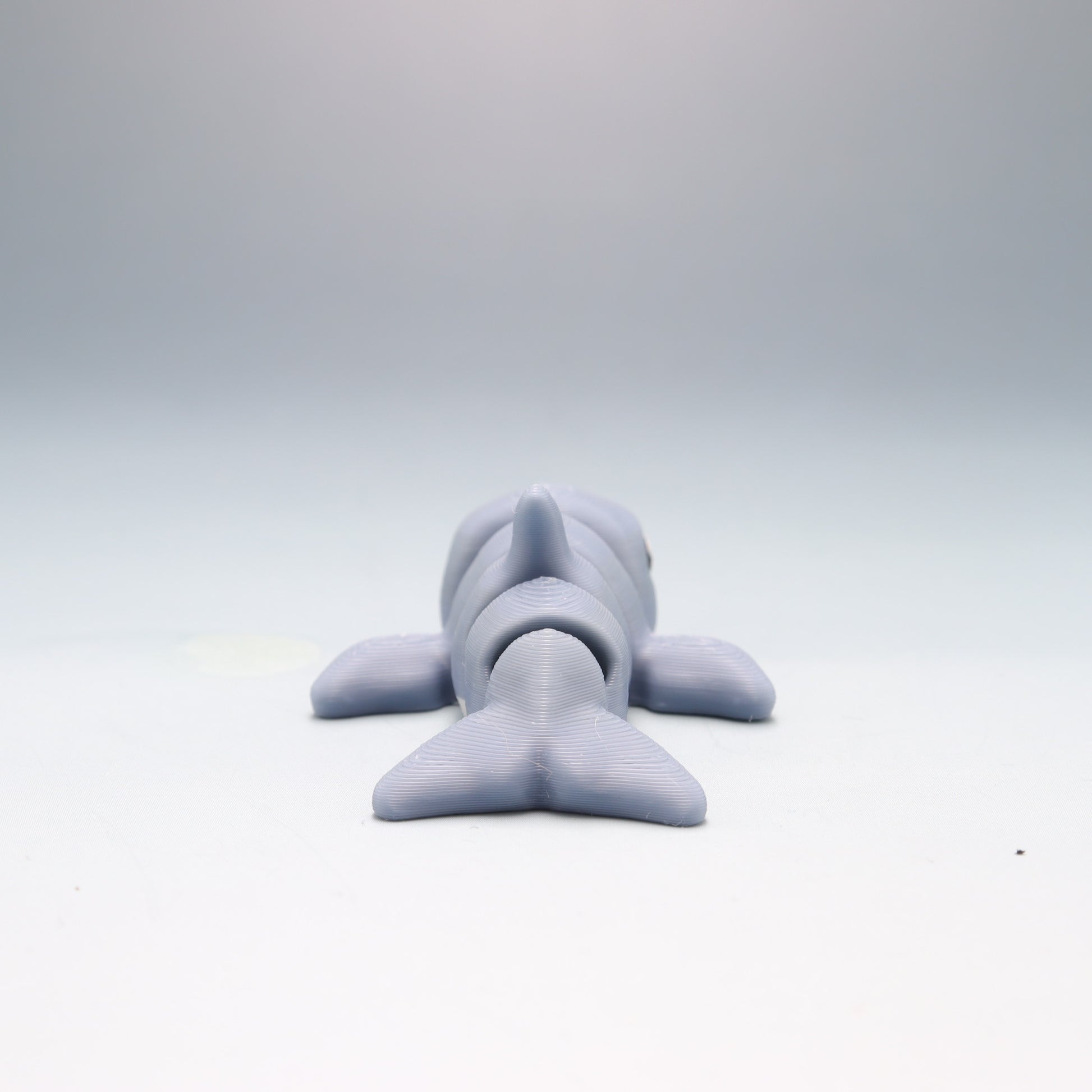 Dolphin Flexi Wobaloo — 3D Printed Articulated Fidget Toy | Aussie Fusion