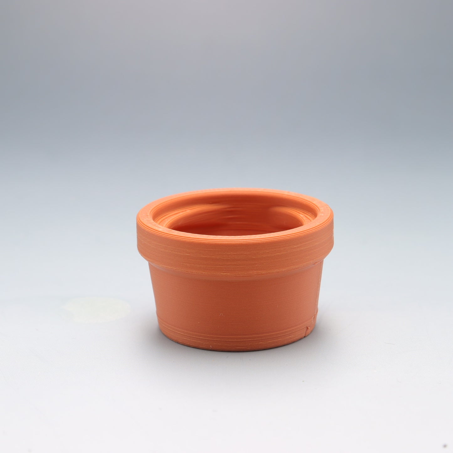 Plant, Flower and Mushroom Desk Buddy