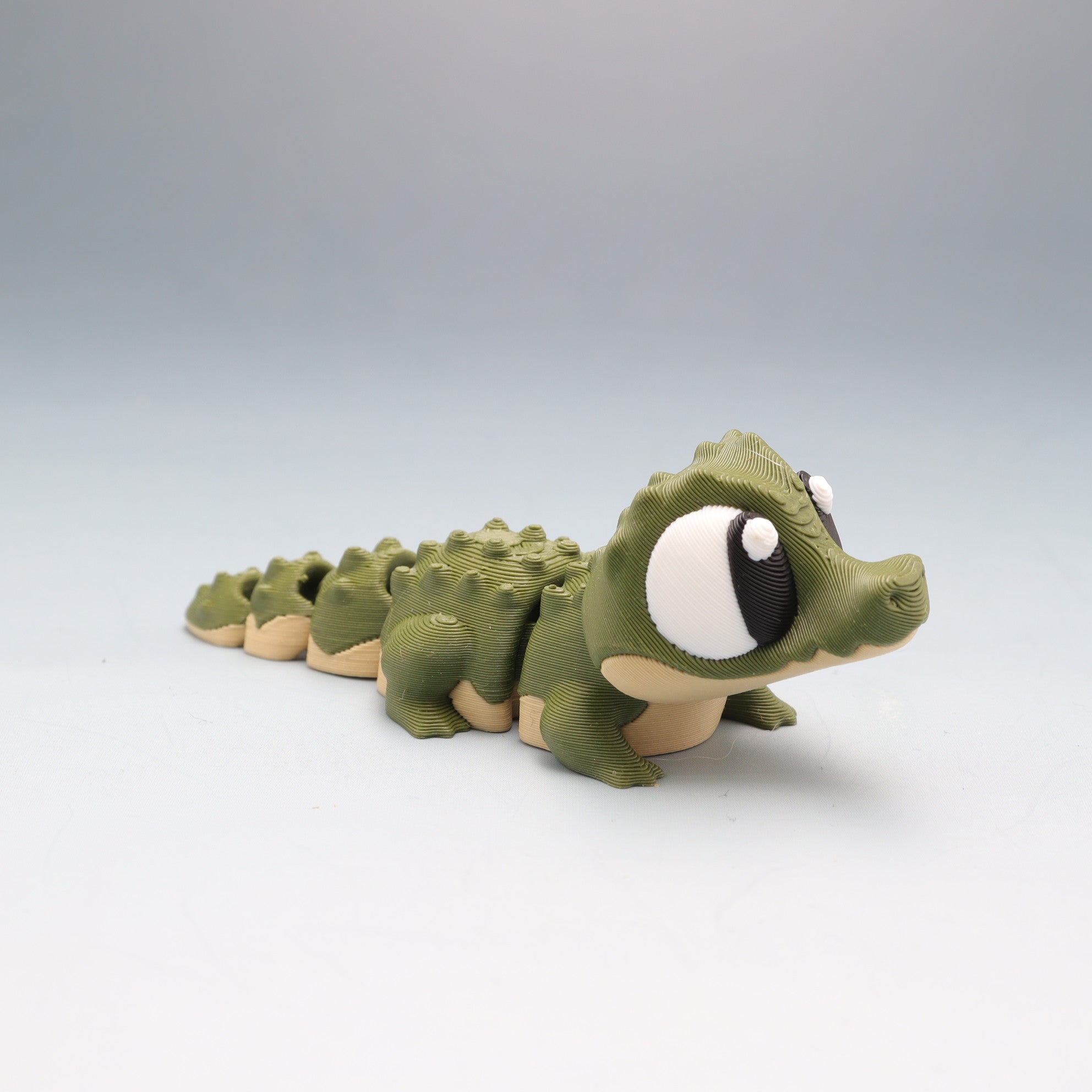 Alligator