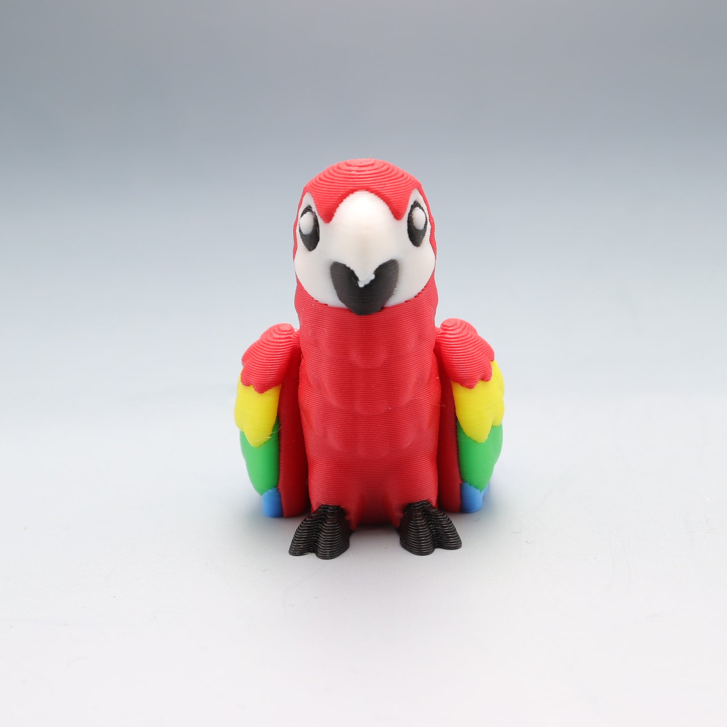Macaw Parrot