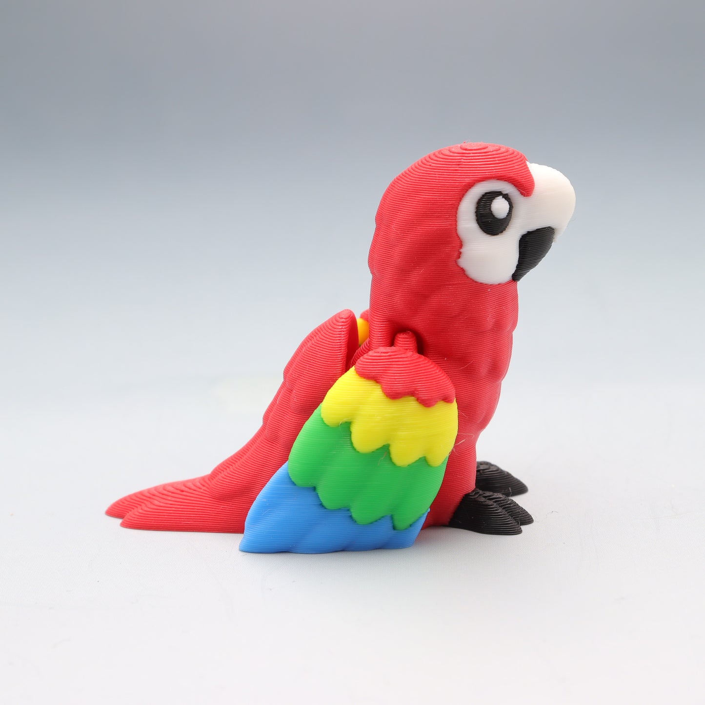 Macaw Parrot