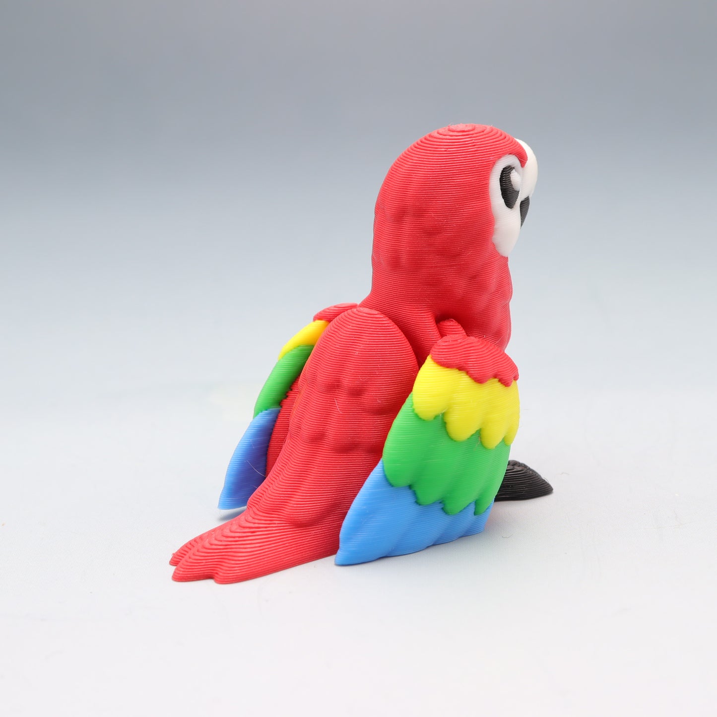 Macaw Parrot