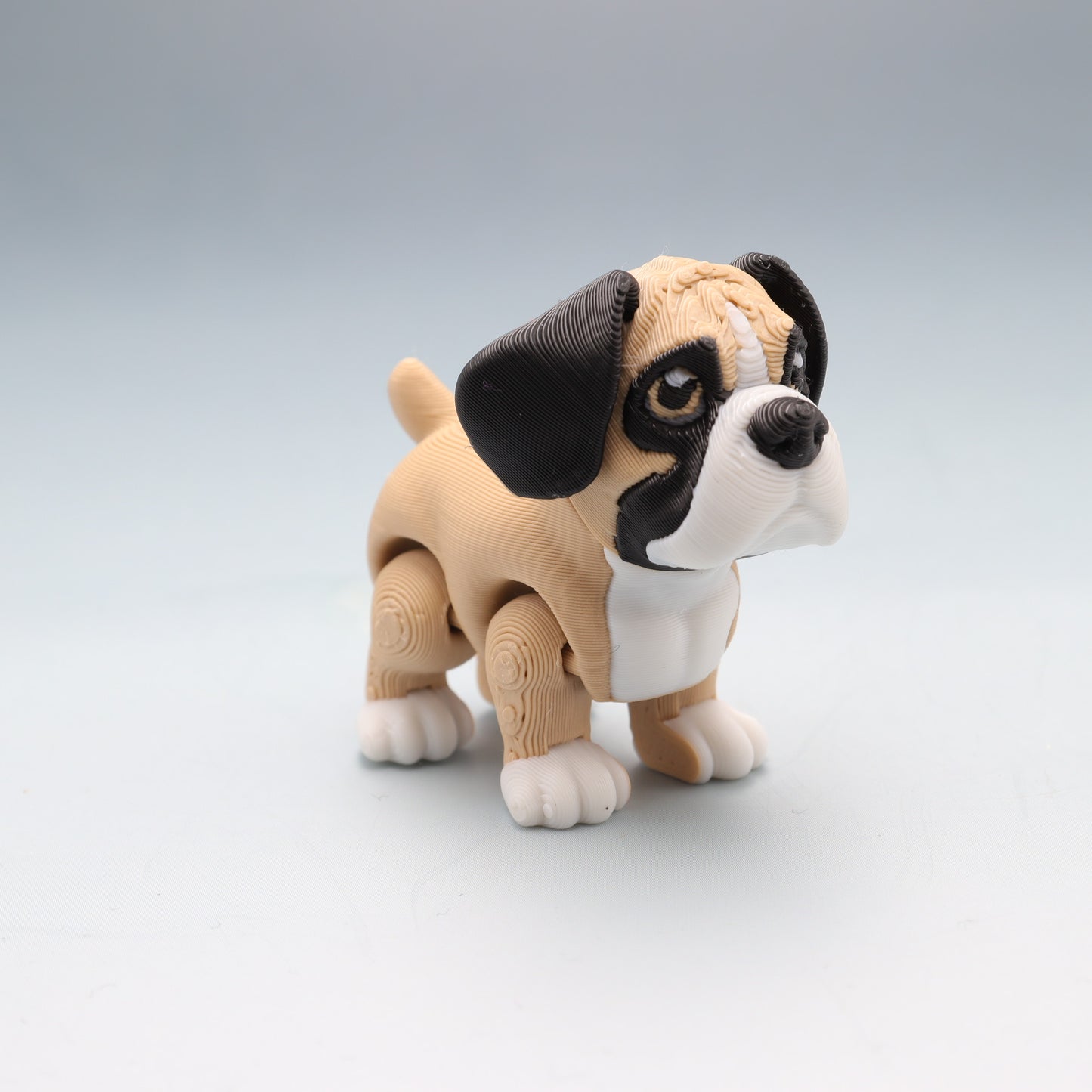 Boxer