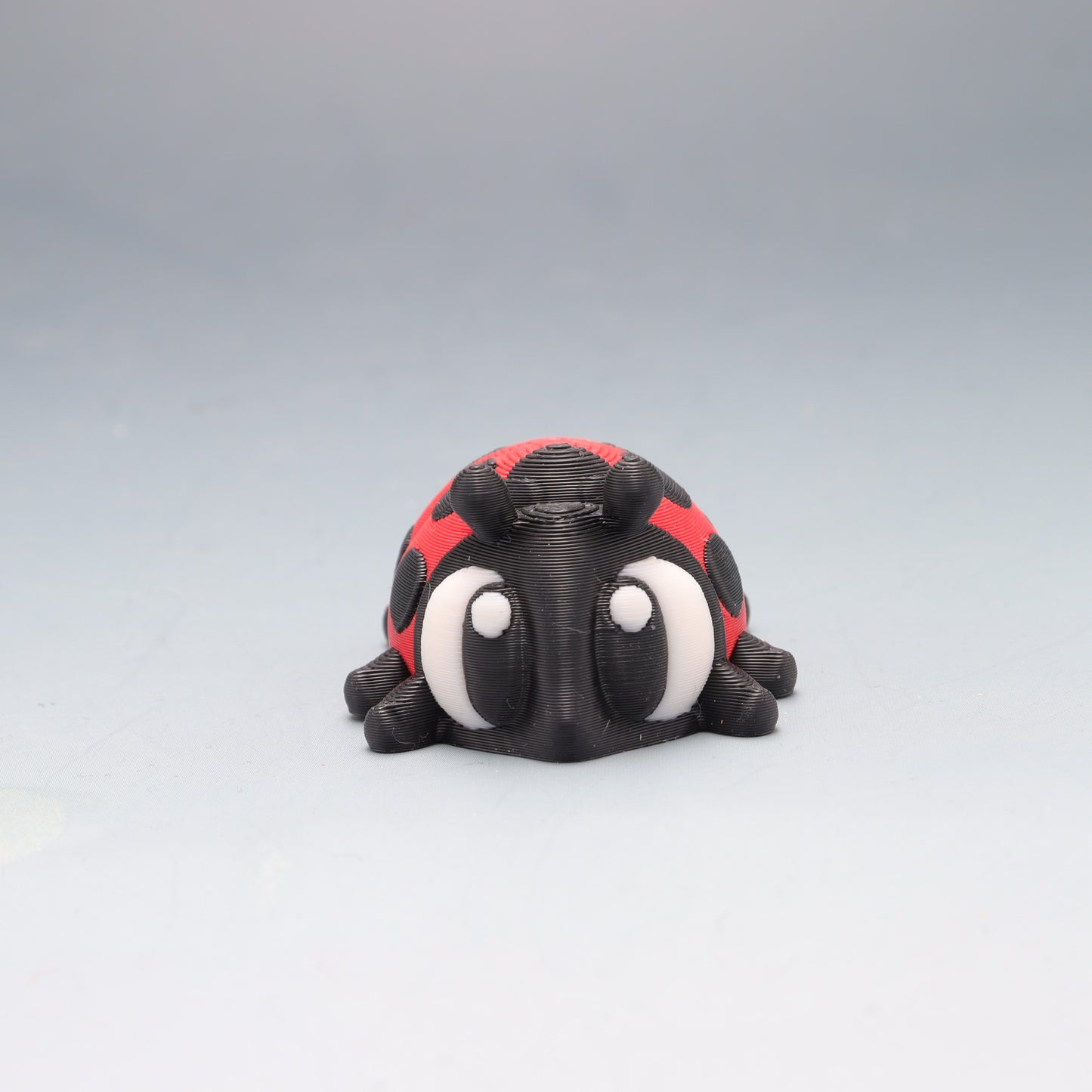 Lady Bug