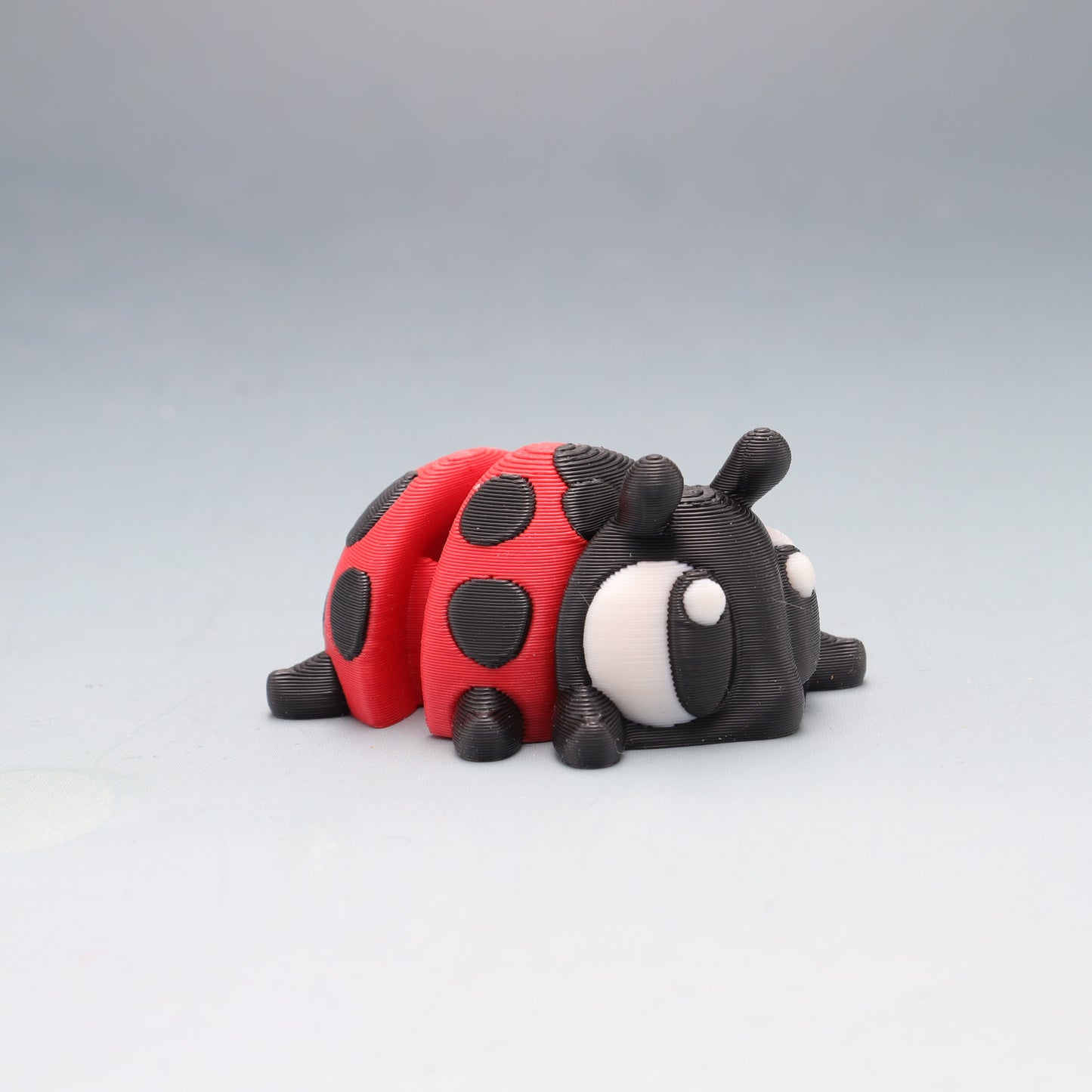 Lady Bug