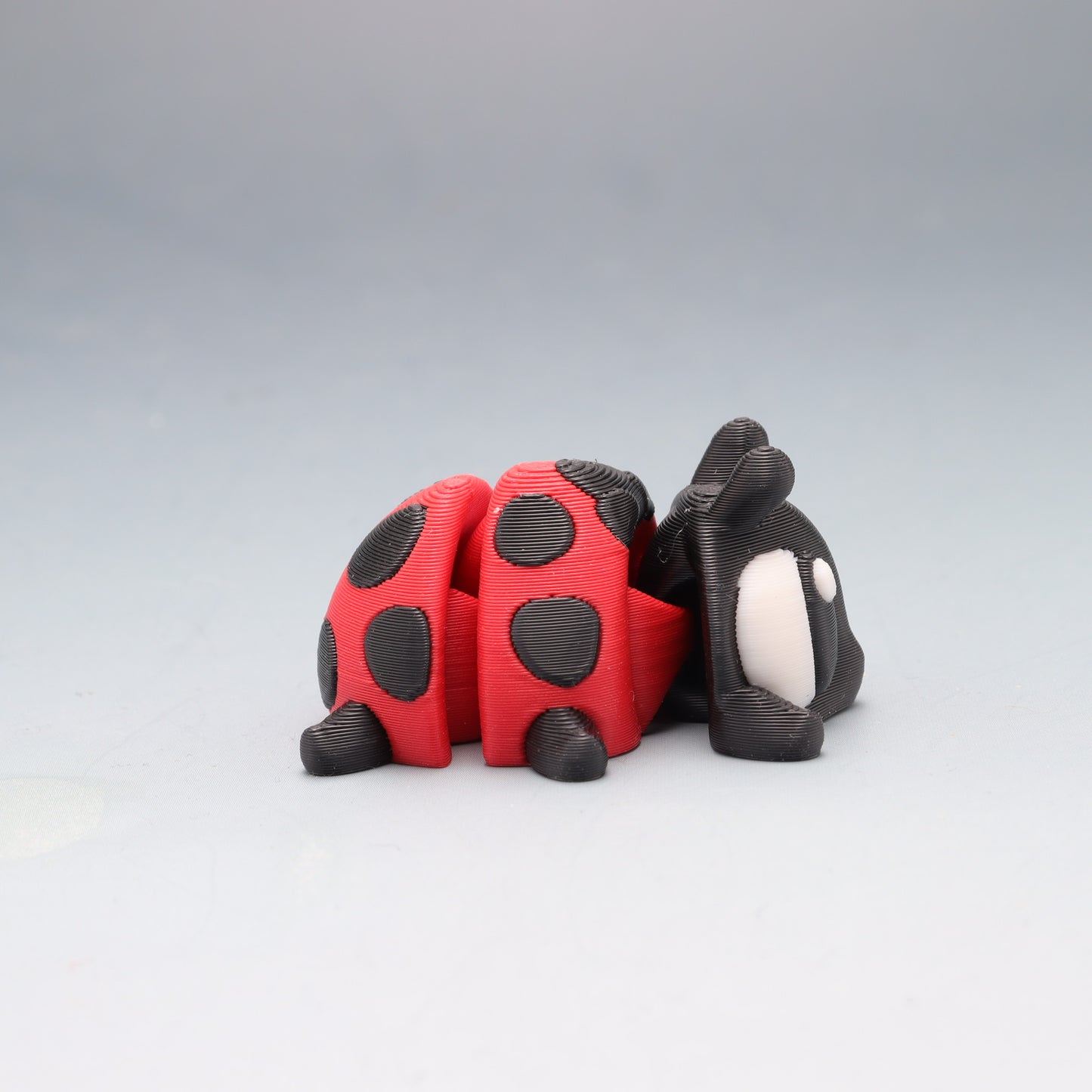 Lady Bug