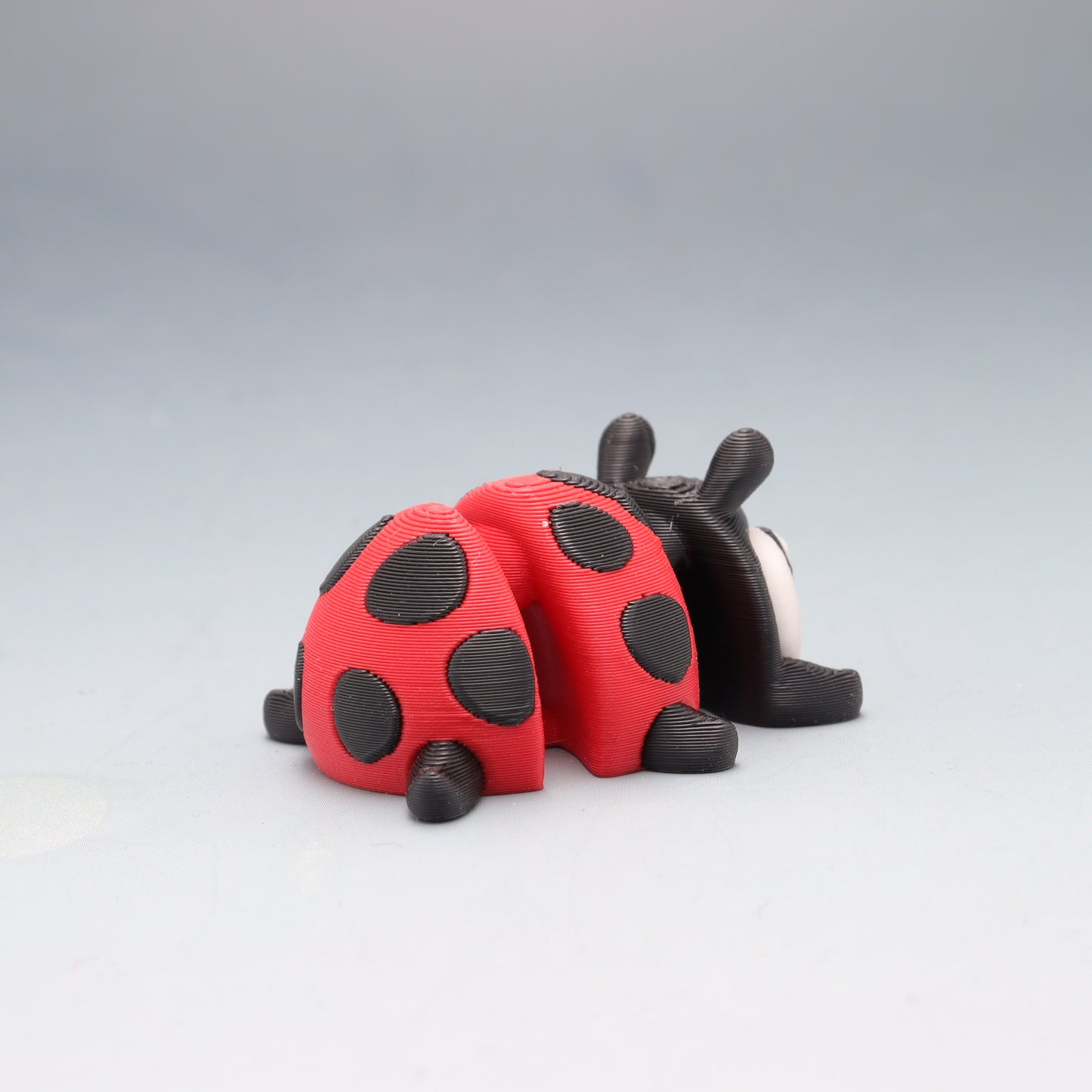 Lady Bug