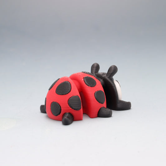 Lady Bug