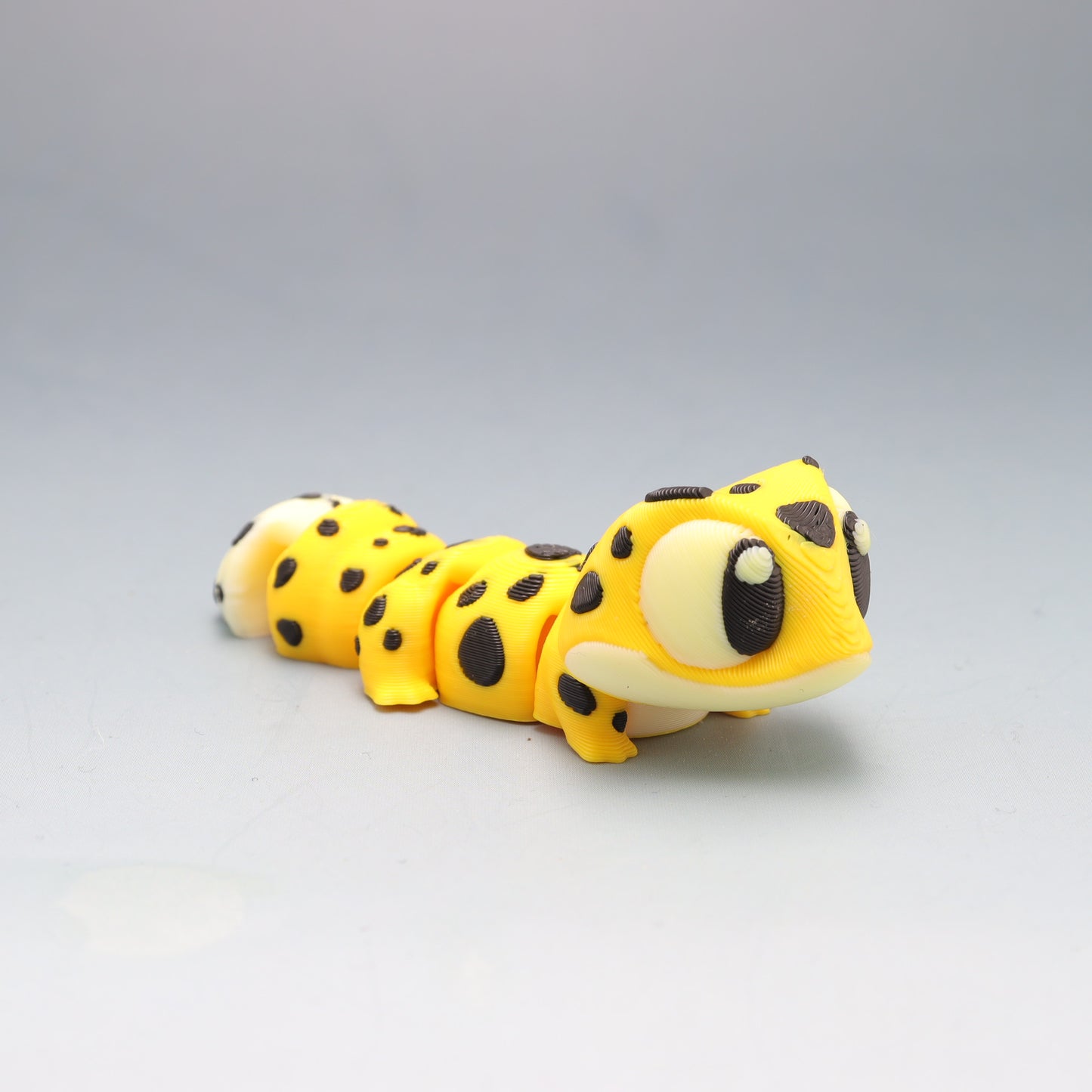 Gecko