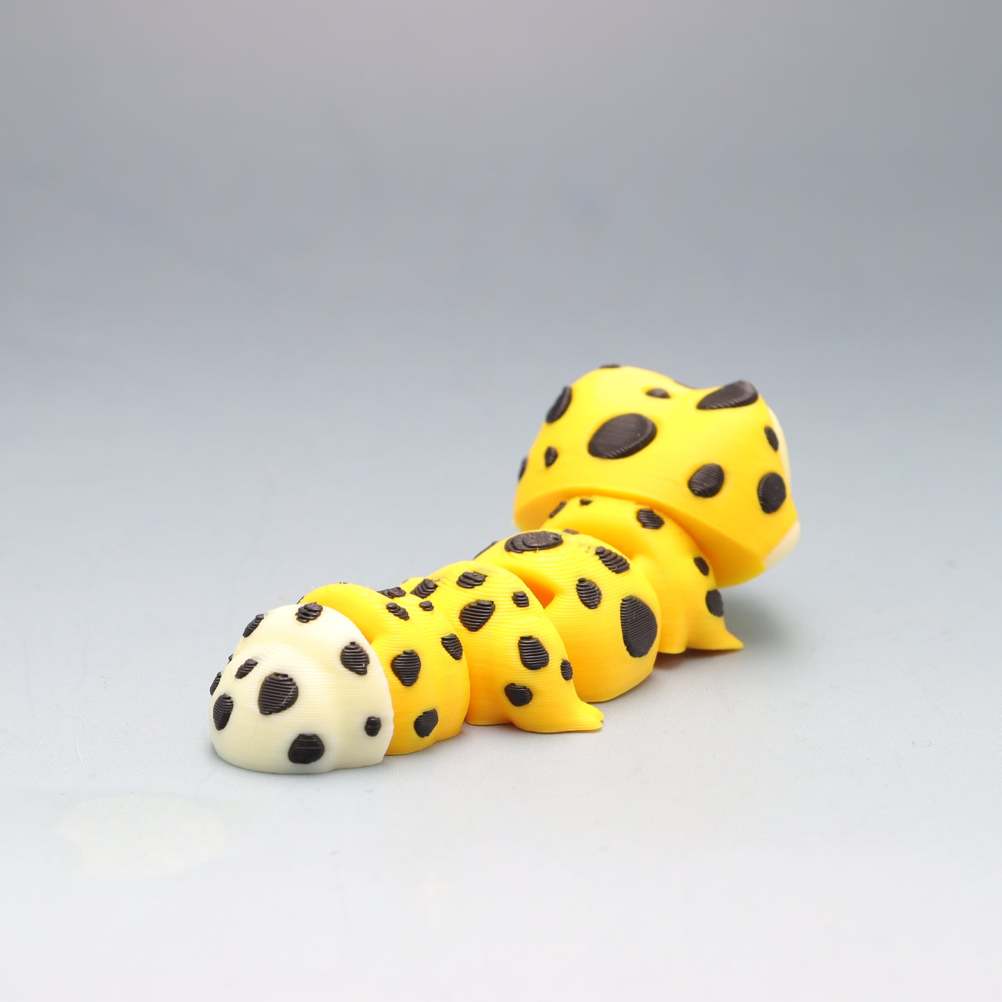 Gecko