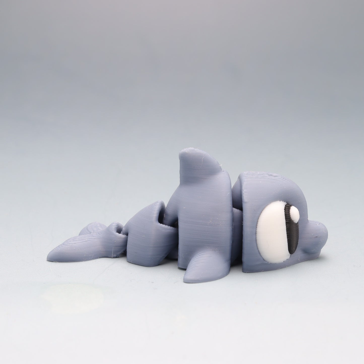 Dolphin