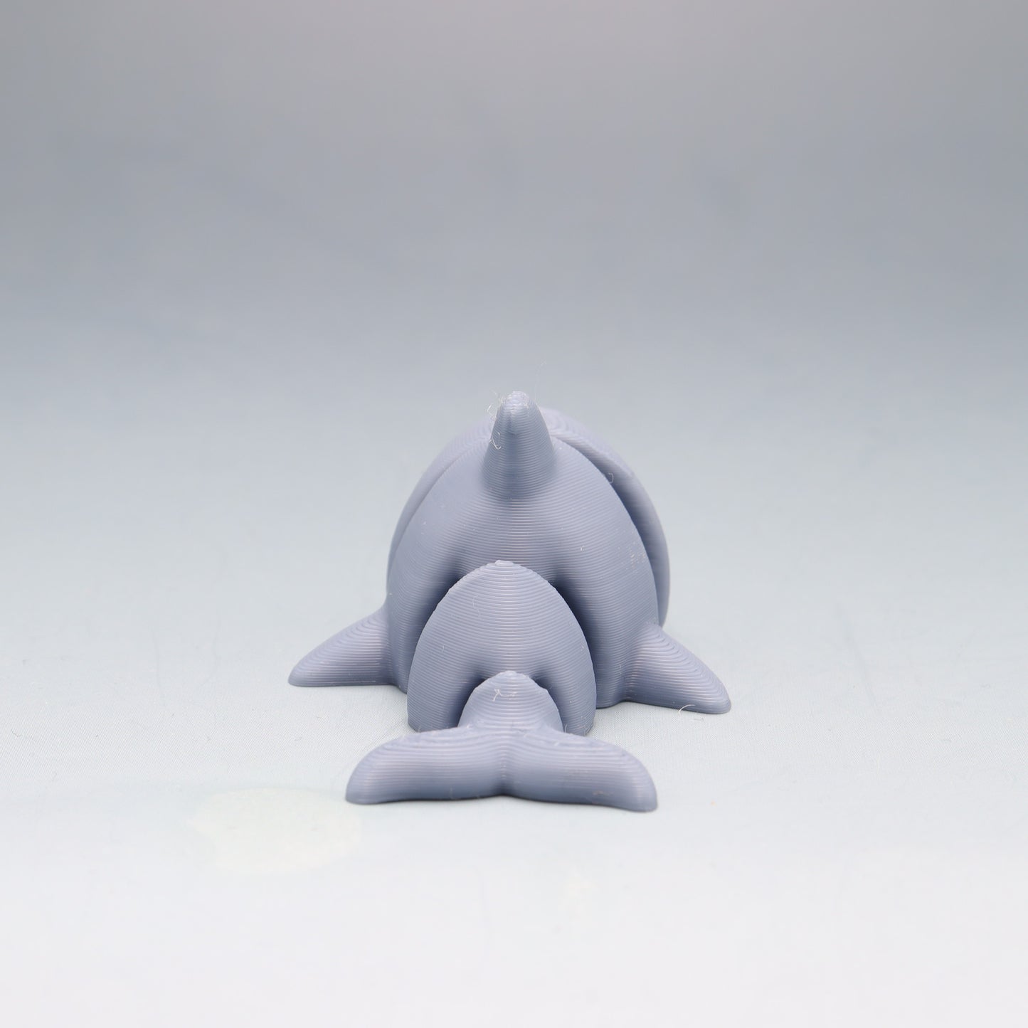 Dolphin