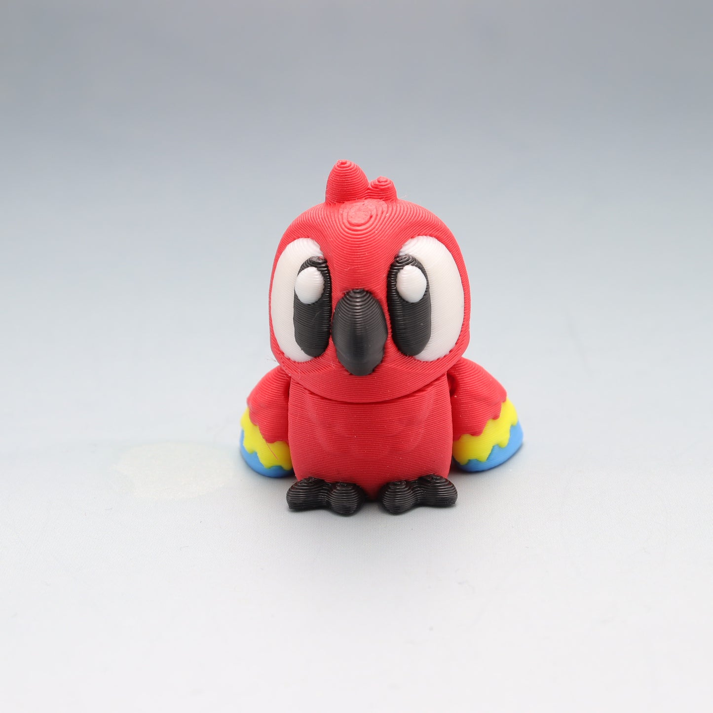 Macaw Parrot