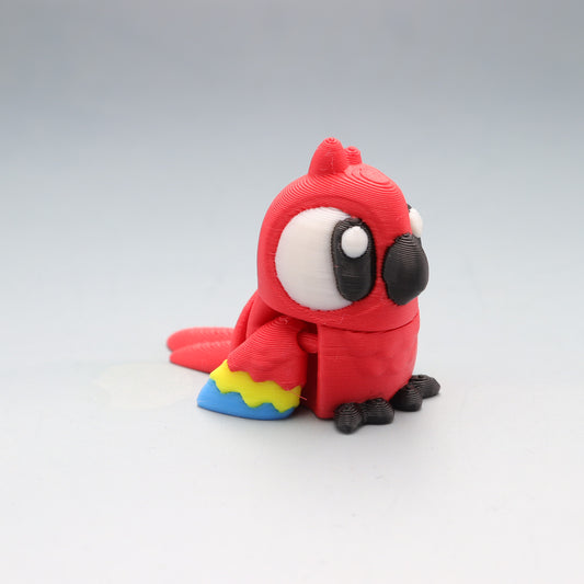Macaw Parrot