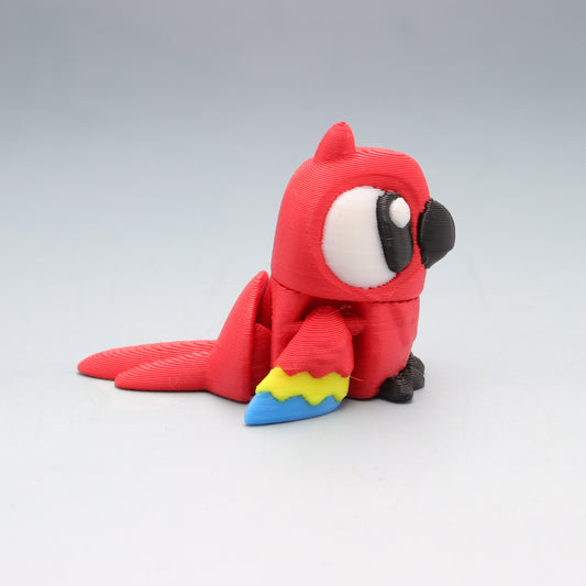 Macaw Parrot