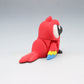 Macaw Parrot