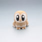 Barn Owl