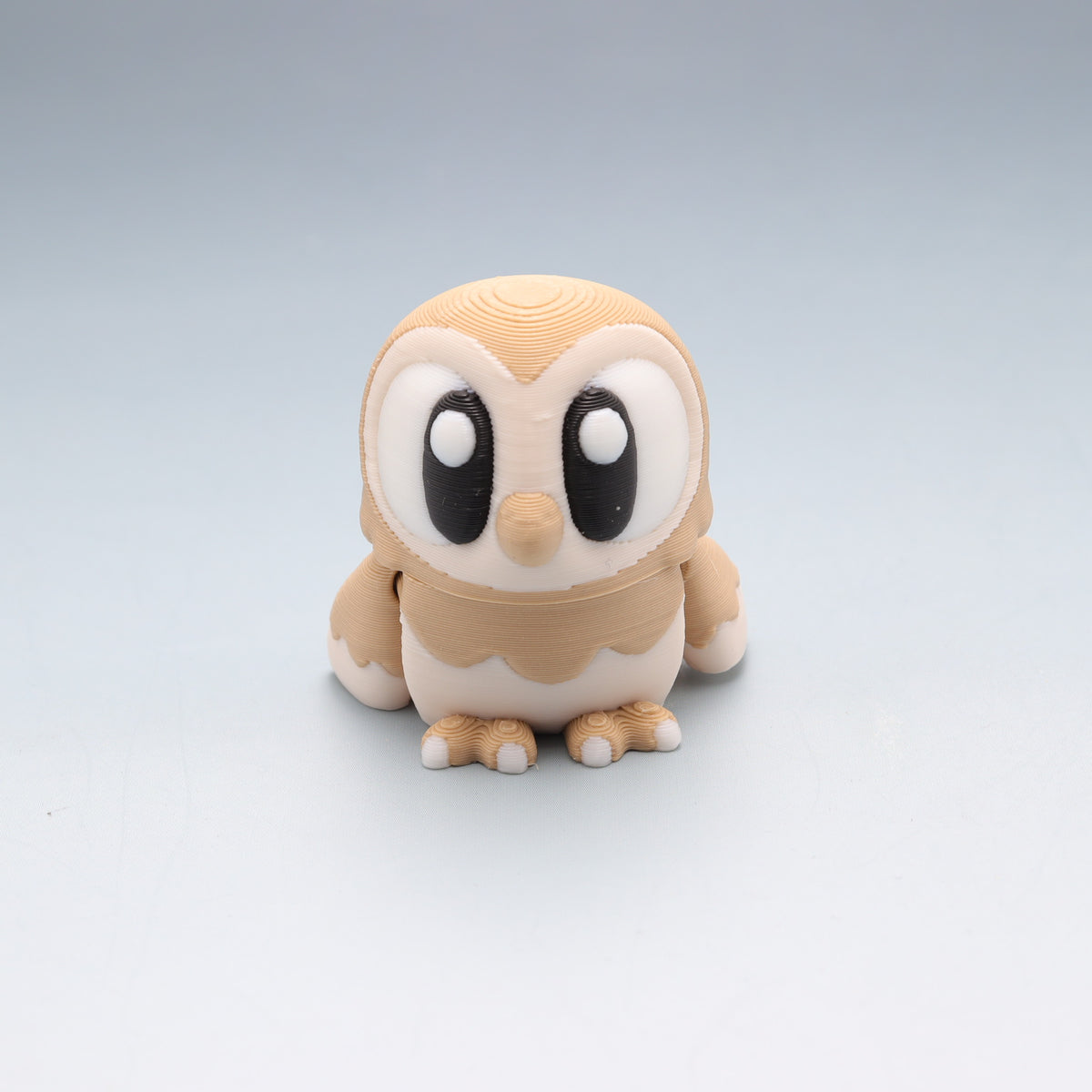 Barn Owl