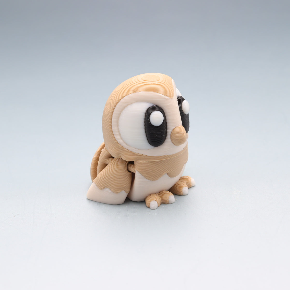 Barn Owl