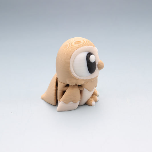 Barn Owl