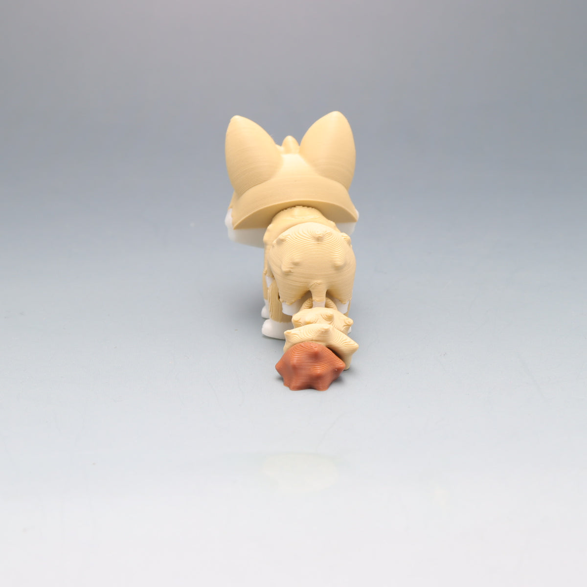 Fennec Fox
