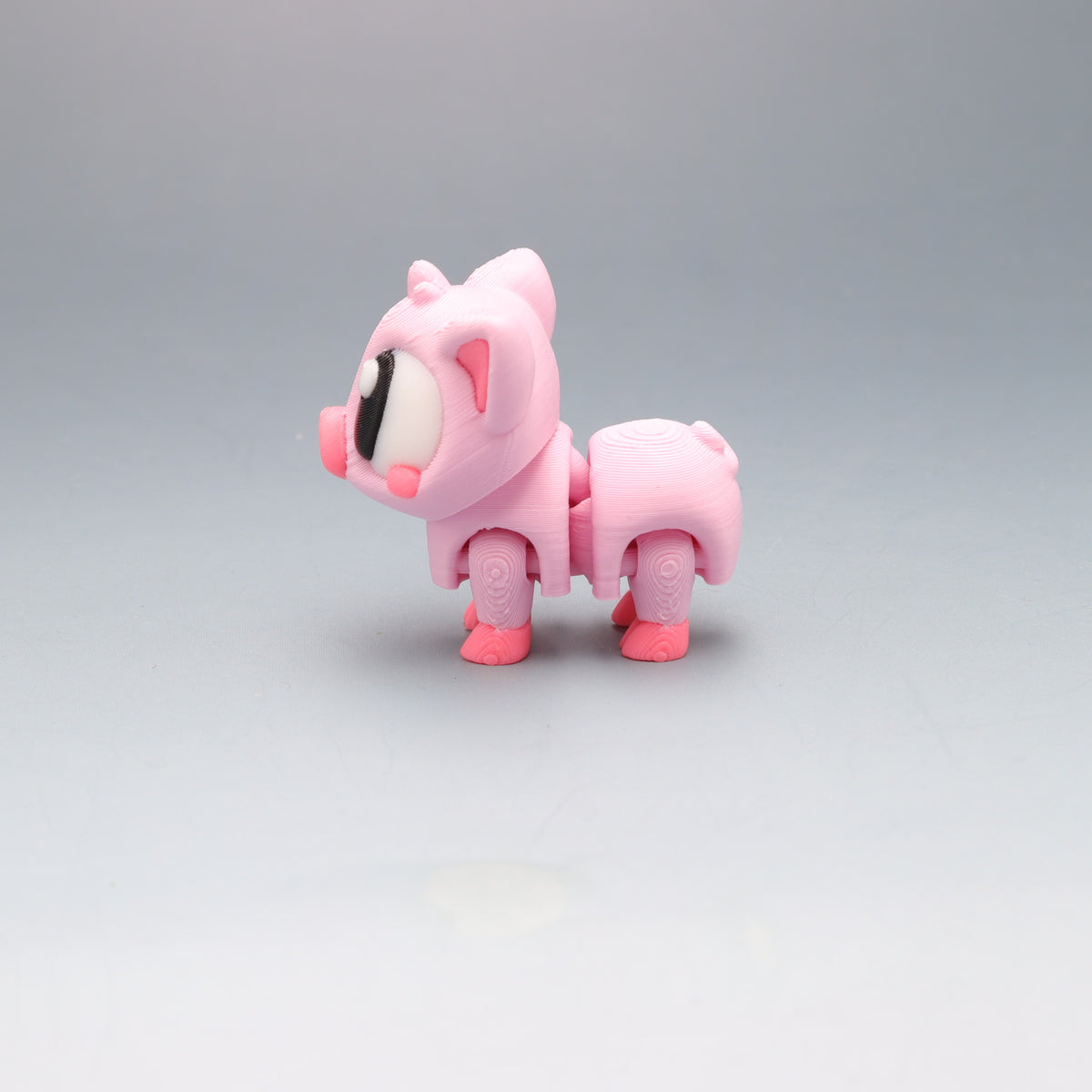Pig