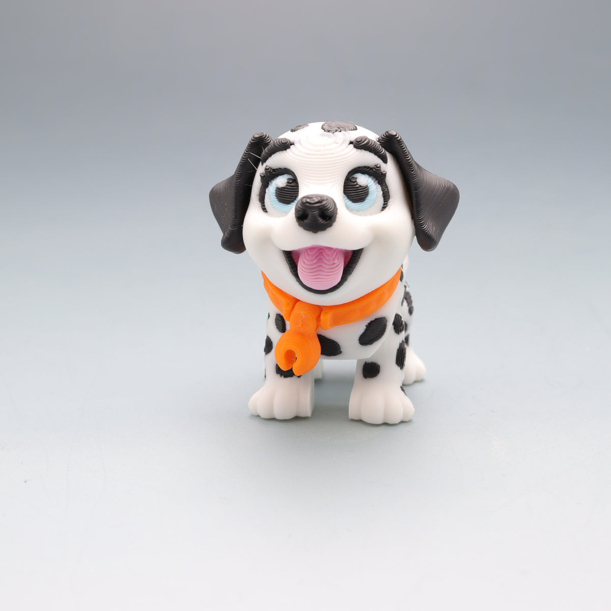 Dalmation