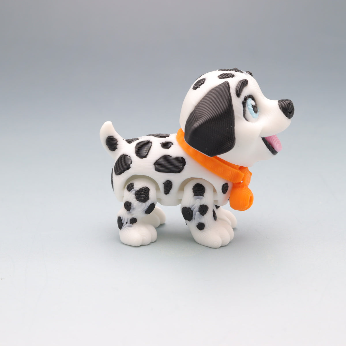 Dalmation