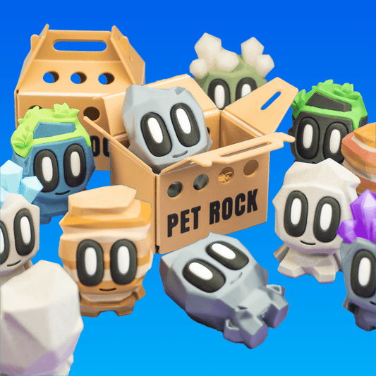 Pet Rock – Mystery Box - My Store