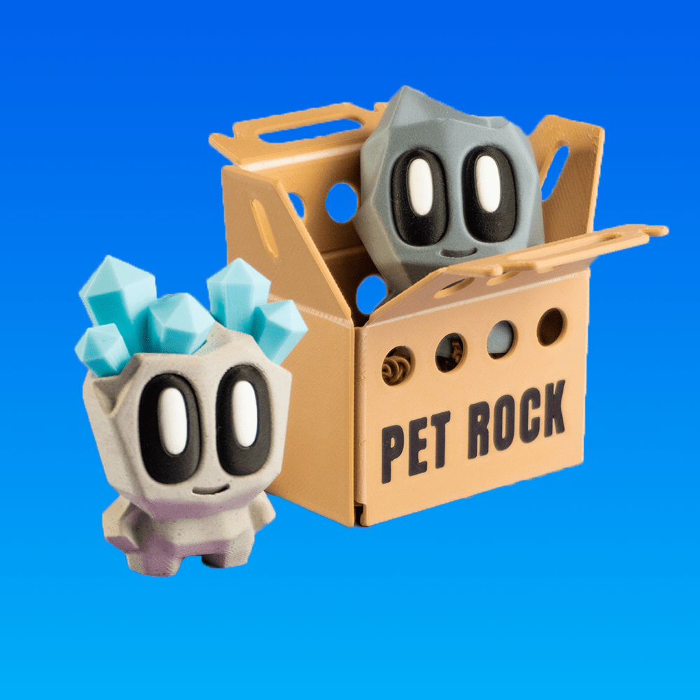 Pet Rock – Mystery Box - My Store
