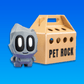 Pet Rock – Mystery Box - My Store